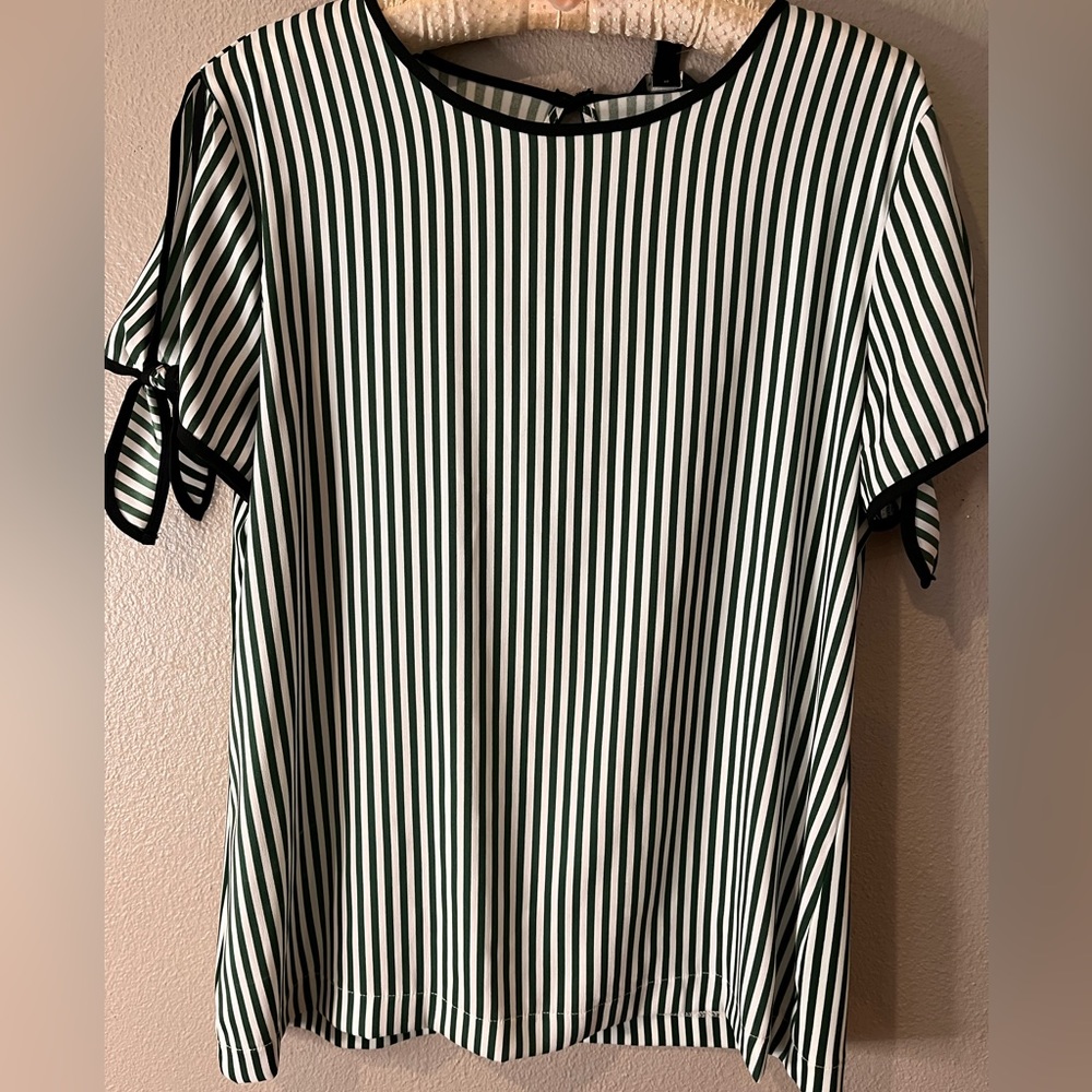 Ann Taylor Blouse